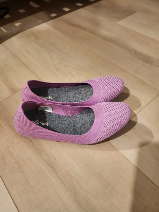allbirds Shoes - allbirds Tree Breezers